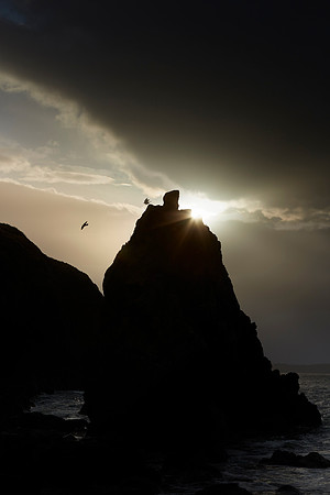 Pembrokeshire Coast