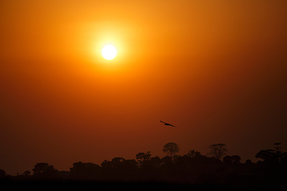 Sunset Entebbe
